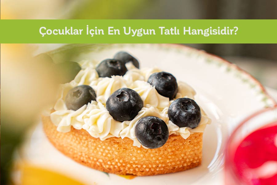 Çocuklar İçin En Uygun Tatlı Hangisidir? 